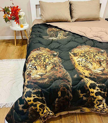 Постільна білизна з ковдрою Євро, фото 1