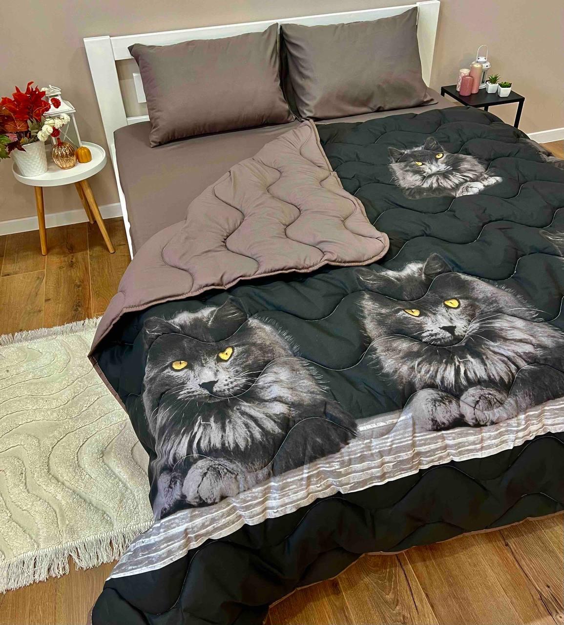 Постільна білизна з ковдрою Євро