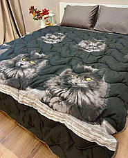 Постільна білизна з ковдрою Євро, фото 4