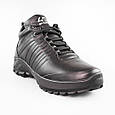 Черевики чоловічі шкіряні 593029 Чорні, фото 2
