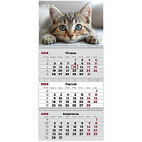 Календар настінний квартальний 3 спіралі 29,7*63 Cats 1
