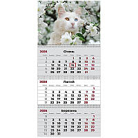 Календар настінний квартальний 3 спіралі 29,7*63 Cats 3