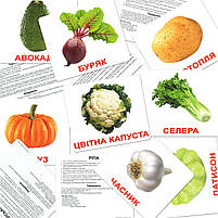 Розвиваюча гра Картки Домана "Велика валіза" Вундеркінд з пелюшок українська мова 20 наборів і книга, фото 5