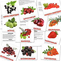 Розвиваюча гра Картки Домана "Велика валіза" Вундеркінд з пелюшок українська мова 20 наборів і книга, фото 9