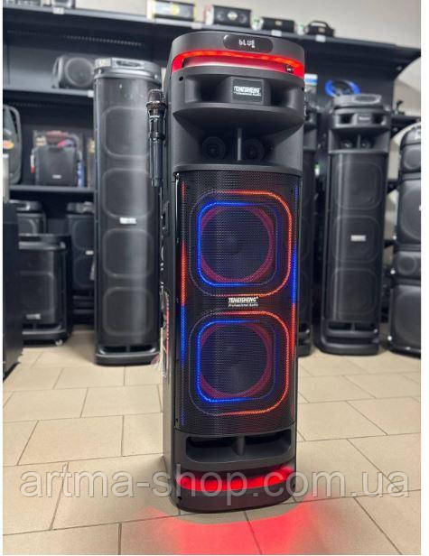 Переносна Bluetooth колонка Temeisheng 10302 з мікрофонами та пультом Портативна акустика 300 Вт 2*10" 2*2"