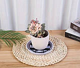 Підставка для квітів, фото 2