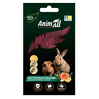 Ласощі AnimAll сушений буряк для гризунів, натуральні, 50 г