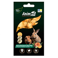 Ласощі AnimAll сушене яблуко для гризунів, натуральні, 25 г