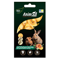 Ласощі AnimAll яблуко та банан для гризунів, сушені, 30 г