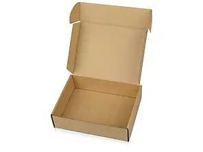 Коробка НП 0,5 кг плоска, 24х17х5 см, краще Нової Пошти - "БРОНЯ", самозбірна, гофрокартон Т22, профіль Е