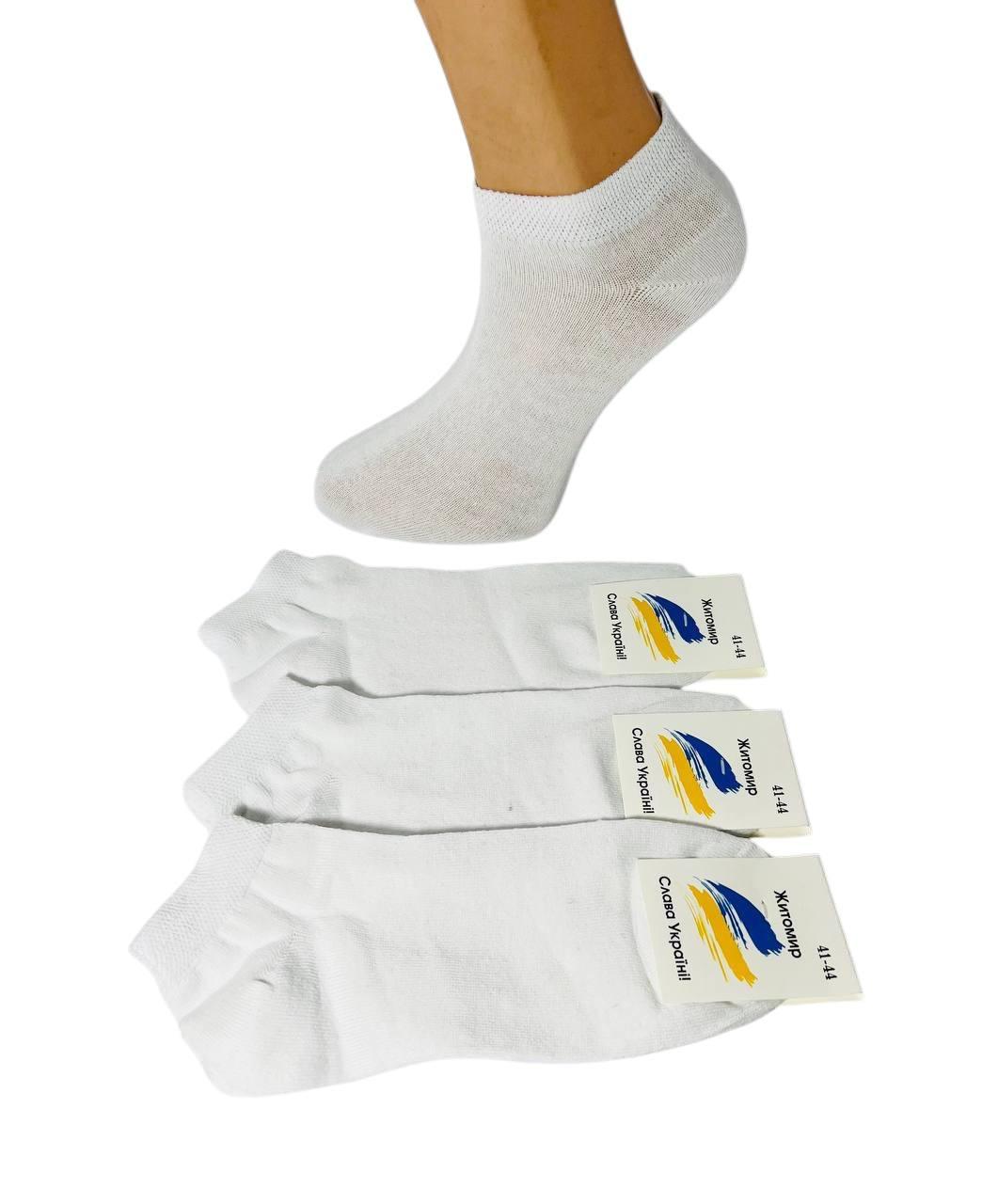Шкарпетки чоловічі 12 пар демісезонні укорочені бавовна Житомир розмір 41-44 білі