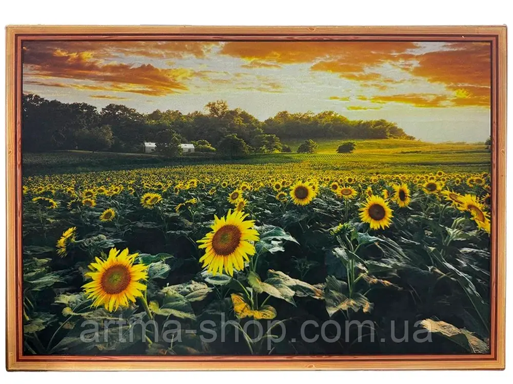 Настінна декоративна акустична система, Динамік Ailiang M-13, Потужність 20 Вт, FM-приймач