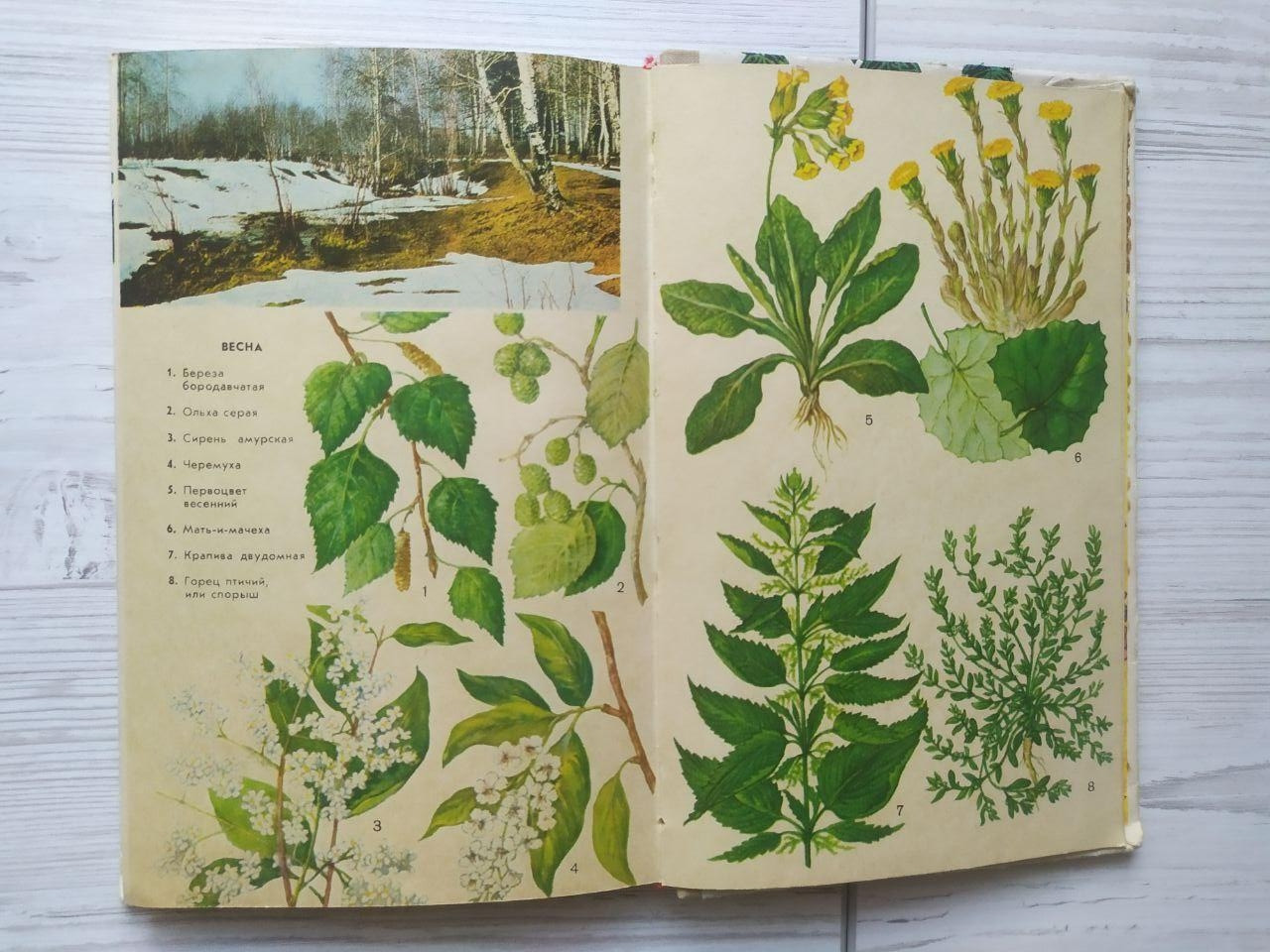 Product image preview