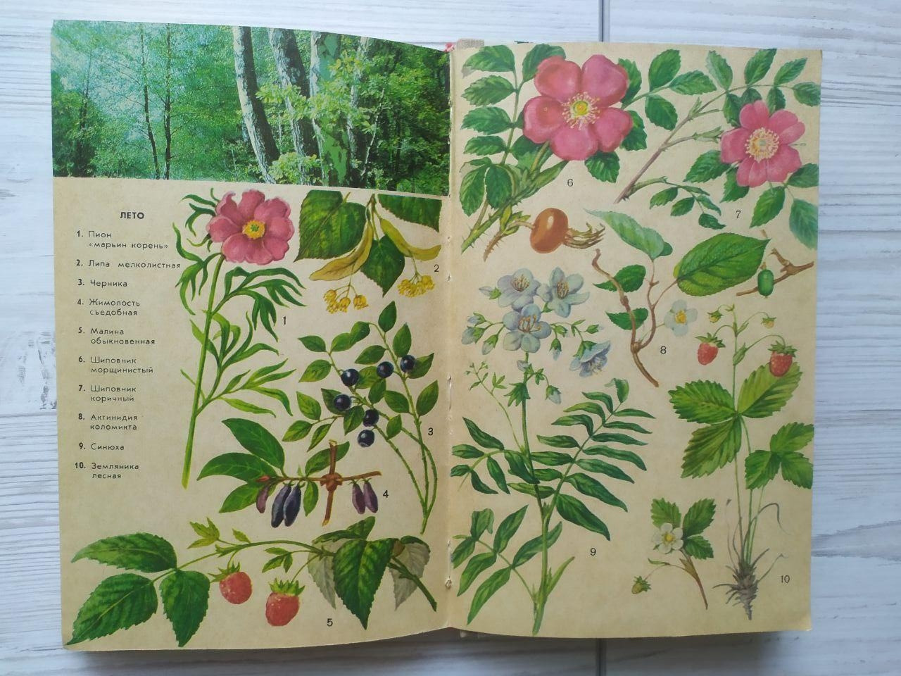 Product image preview