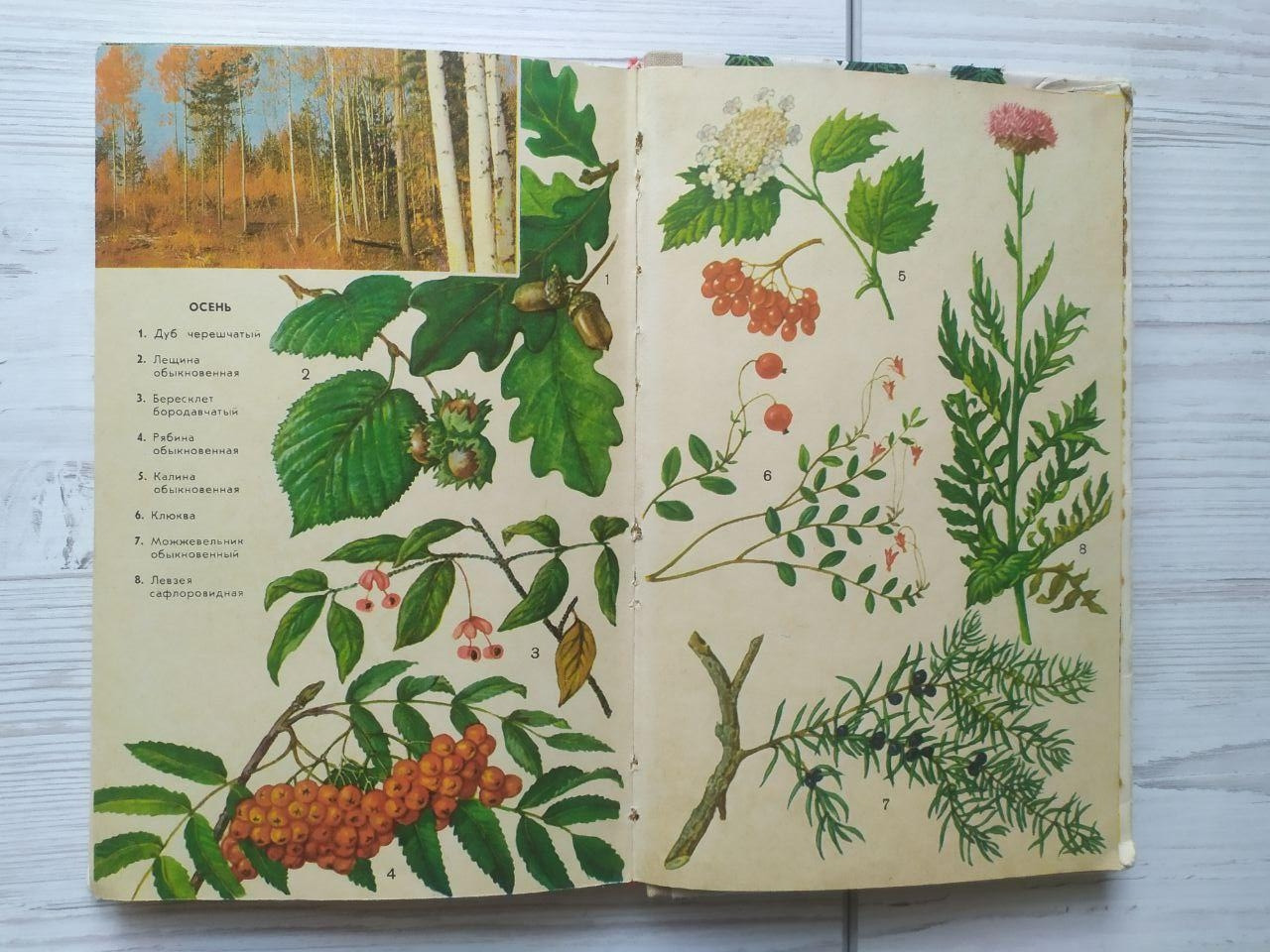 Product image preview