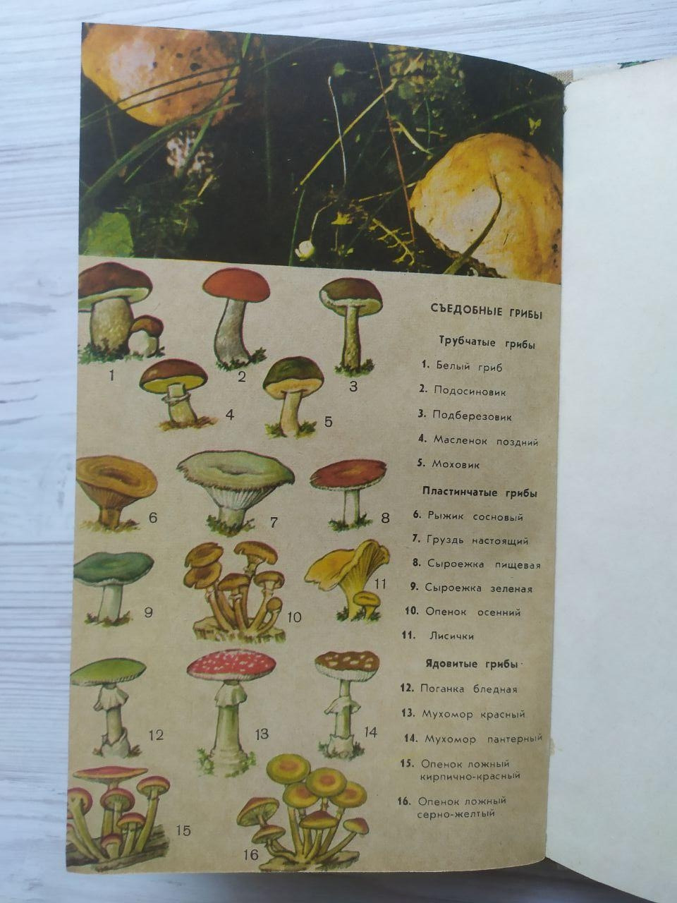 Product image preview