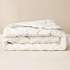 Ковдра всесезонна Antistatic Sleep 140х210 см IDEIA