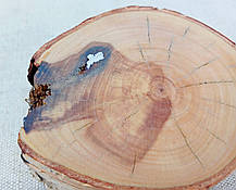 Свічник березовий ручної роботи, (з осколком усередині), фото 5