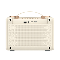 Портативна ретро колонка караоке HAVIT SK823BT 16W RGB Beige (10/ящ), фото 8