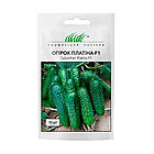 Огірок Платіна F1 Nunhems/Нідерланди 10 шт, фото 2