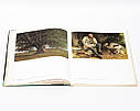 Книга L'Opera completa di Courbet. Збірка робіт Гюстава Курбе «Classici dell'Arte» Rizzoli, фото 6