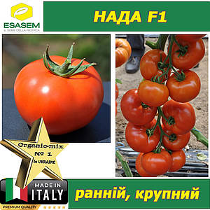 Семена высокорослых (индетерминантных томатов) в Киеве от