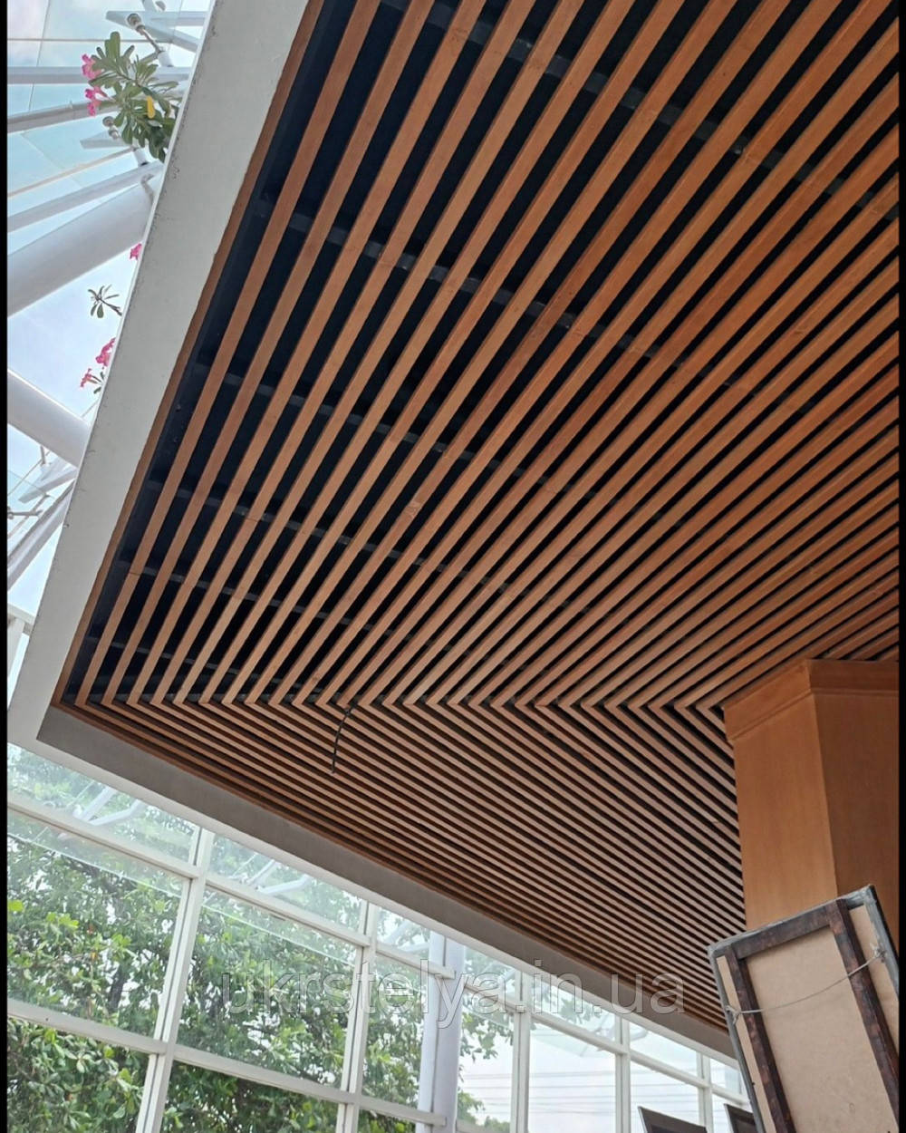 Рейкова стеля під дерево, фото 1