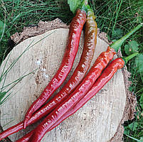 Насіння гострого перцю "Джо лонг" (15 насінин)