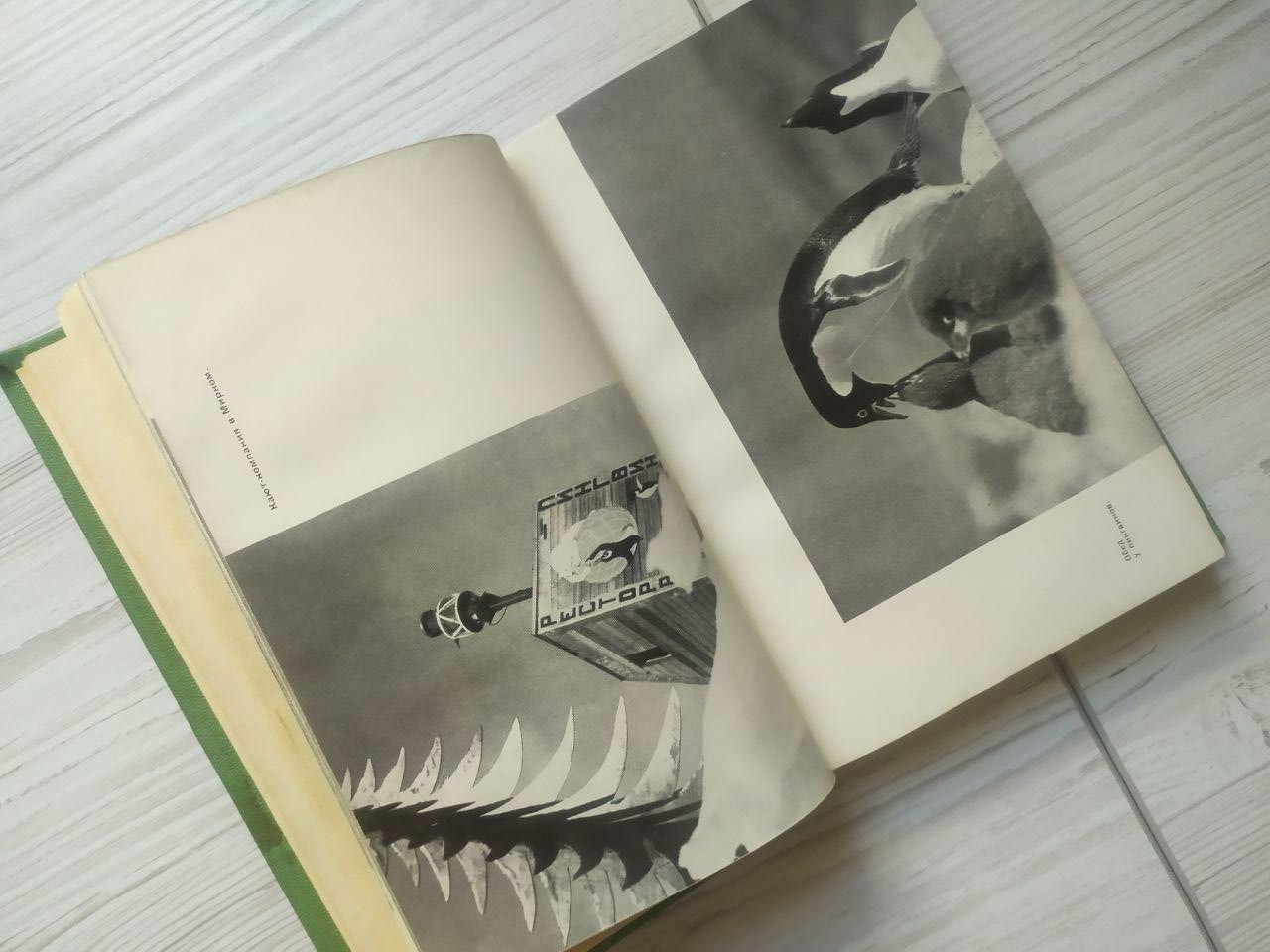 Product image preview