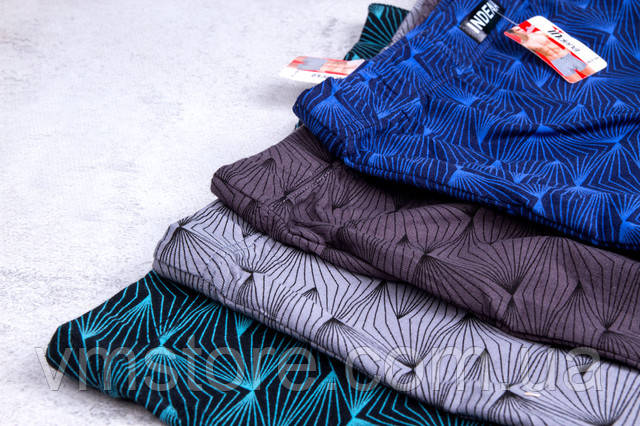 Трусы мужские Индена Indena