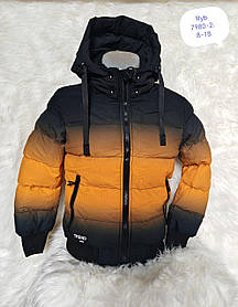 Куртка утеплена на хлопчиків оптом, Nature, 8-16 рр., арт. RYB-7980-2