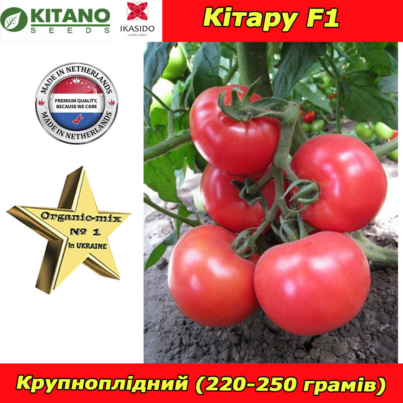 Ранній, рожевий томат Кітару F1, ТМ Kitano Seeds (Нідерланди), фото 1