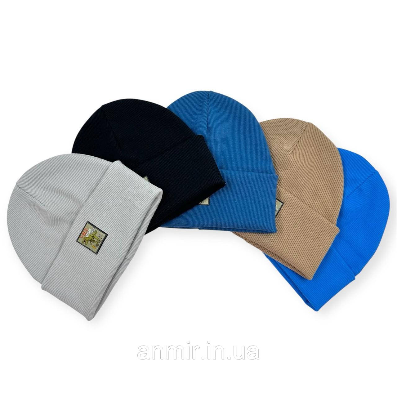 Шапка дитяча демісезонна T-REX подвійна рубчик трикотаж для хлопчика 2-5 років, кольору міксом