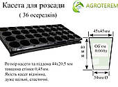 Касета + піддон Україна 36 (Б)  осередків (44х20,5см)