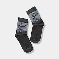 Шкарпетки підліткові | Шкарпетки для хлопчика | Шкарпетки з динозавром 22-24(35-38), Сірий