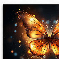 Картина метелик на темному фоні Яскравий декор у сучасний інтер'єр Друк на полотні 60х40см, фото 4