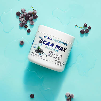 Бцаа AllNutrition BCAA MAX SUPPORT 250 г ( різні смаки ), фото 2