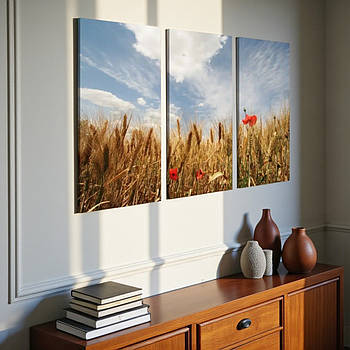 Модульна картина Україна Природа Український краєвид поле пшениця маки 90х60 із 3х частин