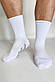 Шкарпетки чоловічі спортивні Спайкер Apmi 40-45 білий, фото 2