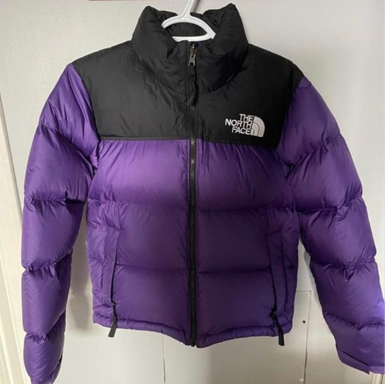Чоловічий пуховик The North Face 700 TNF фіолетовий куртка Норд Фейс ТНФ коротка зимовий одяг, фото 1