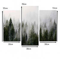 Картина модульна Туманний ліс Карпати ранковий лісовий краєвид природа Сучасний декор 90х70см з 3 частин, фото 5