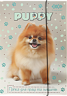 Папка для праці та зошитів картонна на гумці (А4+, 316х225мм) Zibi Kids Line Dog ZB.14940-22