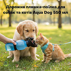 Поїлка для собак і котів Aqua Dog: необхідність і зручність для активних власників улюбленців