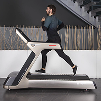 Бігова доріжка електрична inSPORTline Gardian G12, фото 4