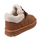 Кросівки жіночі Berisstini руді натуральна замша, 39, фото 4