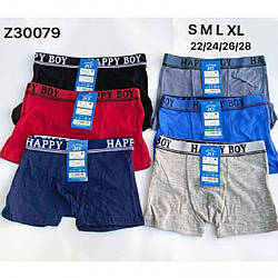 Труси для хлопчика підлітка "Коттон" Розміри: 5-7, 7-9, 9-11, 11-13 років (11172)