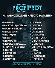IBCAA 2:1:1 Інстант PROFIPROT 100 г - Амінокислоти БЦАА без смаку, фото 4