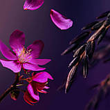 Гель-пінка для душу Rituals Yozakura Foaming Shower Gel, фото 3