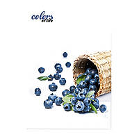 Папка з боковим затискачем А4 Sk №411228 "Colors of Life bilberry. Чорниця"