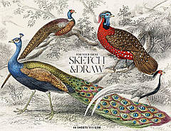 Альбом для ескізів клеєний А4+ 40 кремових листів (115г/м.кв.) Ш. "Muse" №067